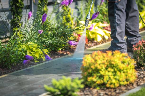 Best House Exterior Washing  in Avon Lake, OH